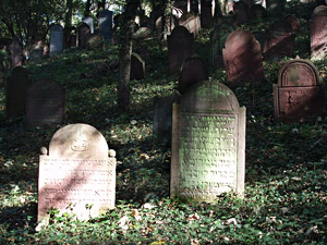 Grabsteine auf dem jüdischen Friedhof in Hemsbach, heutige Ansicht